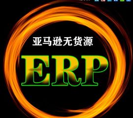 电商软件亚马逊无货源erp贴牌定制,独立部署定制,包教会,