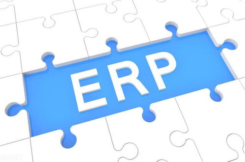 什么规模的企业才选择定制erp系统,影响定制erp的因素